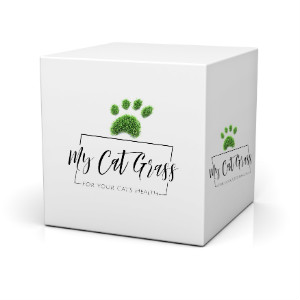 Cat Grass Box