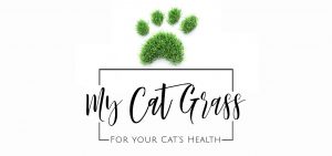 My Cat Grass Launches UK's 1st Fresh Cat Grass subscription service