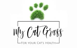 My Cat Grass Launches UK's 1st Fresh Cat Grass subscription service