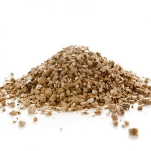 Grow Your Own Cat Grass in Vermiculite
