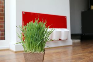 My Cat Grass Station Red
