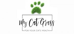 My Cat Grass