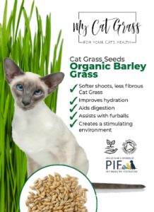 Cat Grass Seeds - Barley Grass Subscription