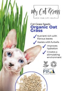 Cat Grass Seeds – Oat Grass Subscription
