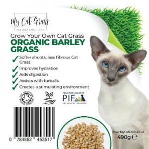Cat Grass Kit Subscription Barley