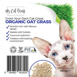 Cat Grass Kit Subscription Oat