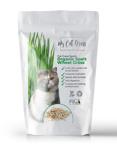 Cat Grass Seeds - Wheat