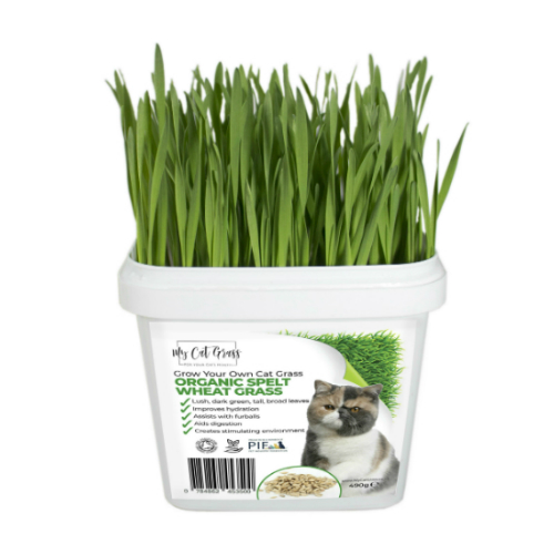 Grow Your Own Cat Grass Kit