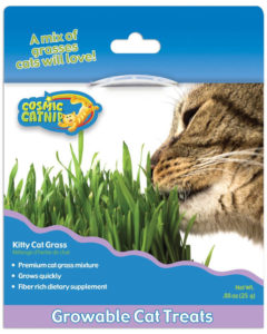 Kitty Grass Cosmic Catnip