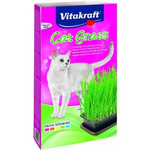 Where to buy cat grass - Vitakraft Cat Grass
