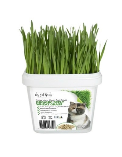 My Cat Grass Grow Your Own Kit - Spelt Wheat