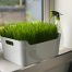 Cat Grass Tray Station Large