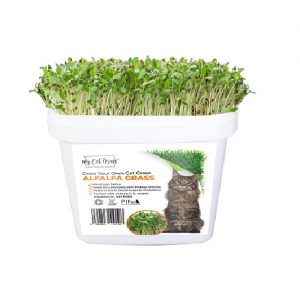 Cat Grass Kit - Alfalfa