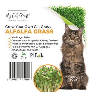 Cat Grass Kit - Alfalfa