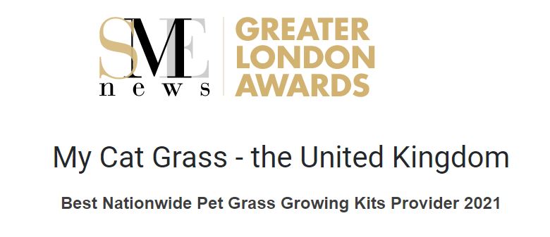 My Cat Grass Wins Another Award