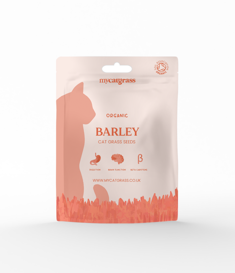 Cat Grass Seed - Organic Barley