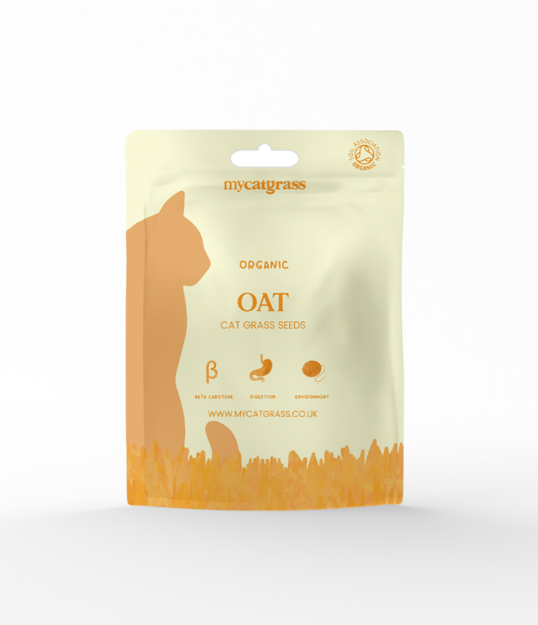 Cat Grass Seed - Organic Oat
