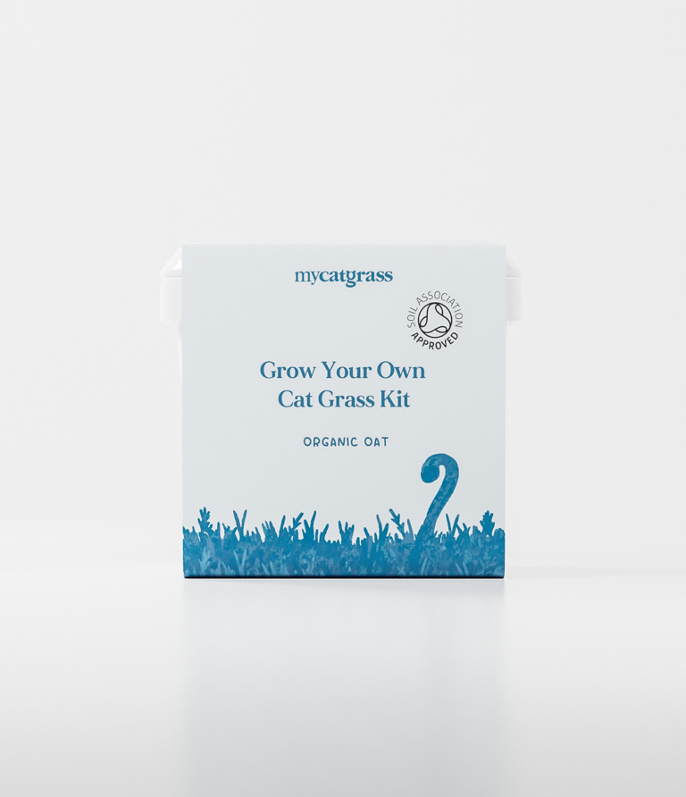 Grow Your Own Cat Grass Kit - Organic Oat