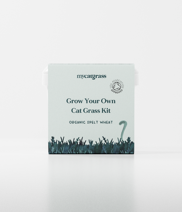 Grow Your Own Cat Grass Kit - Organic Spelt Wheat