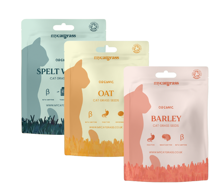 Cat Grass Seed Subscription