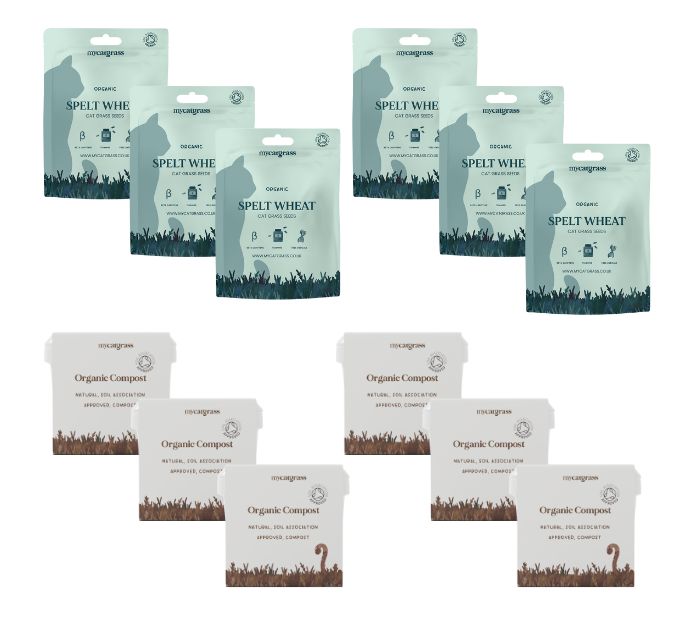 Cat Grass Bed - Grow Your Own Refill