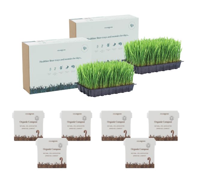 Cat Grass Bed - Ready Grown Refill