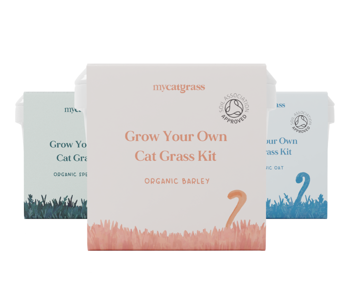Grow Your Own Cat Grass Kit Subscription