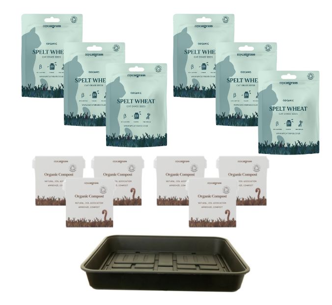 Grow Your Own Cat Grass Bed